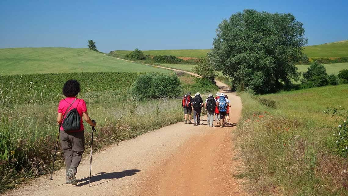 Pilgrims walking along the Camino de Santiago in Spain