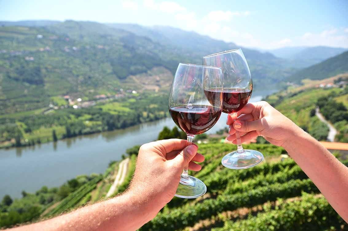 Porto Douro Valley Wine Tour