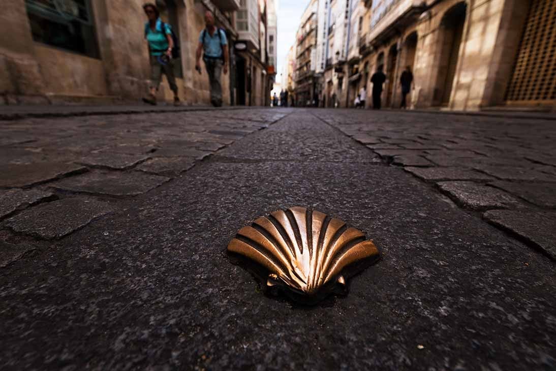 Shell symbol of the camino de santiago