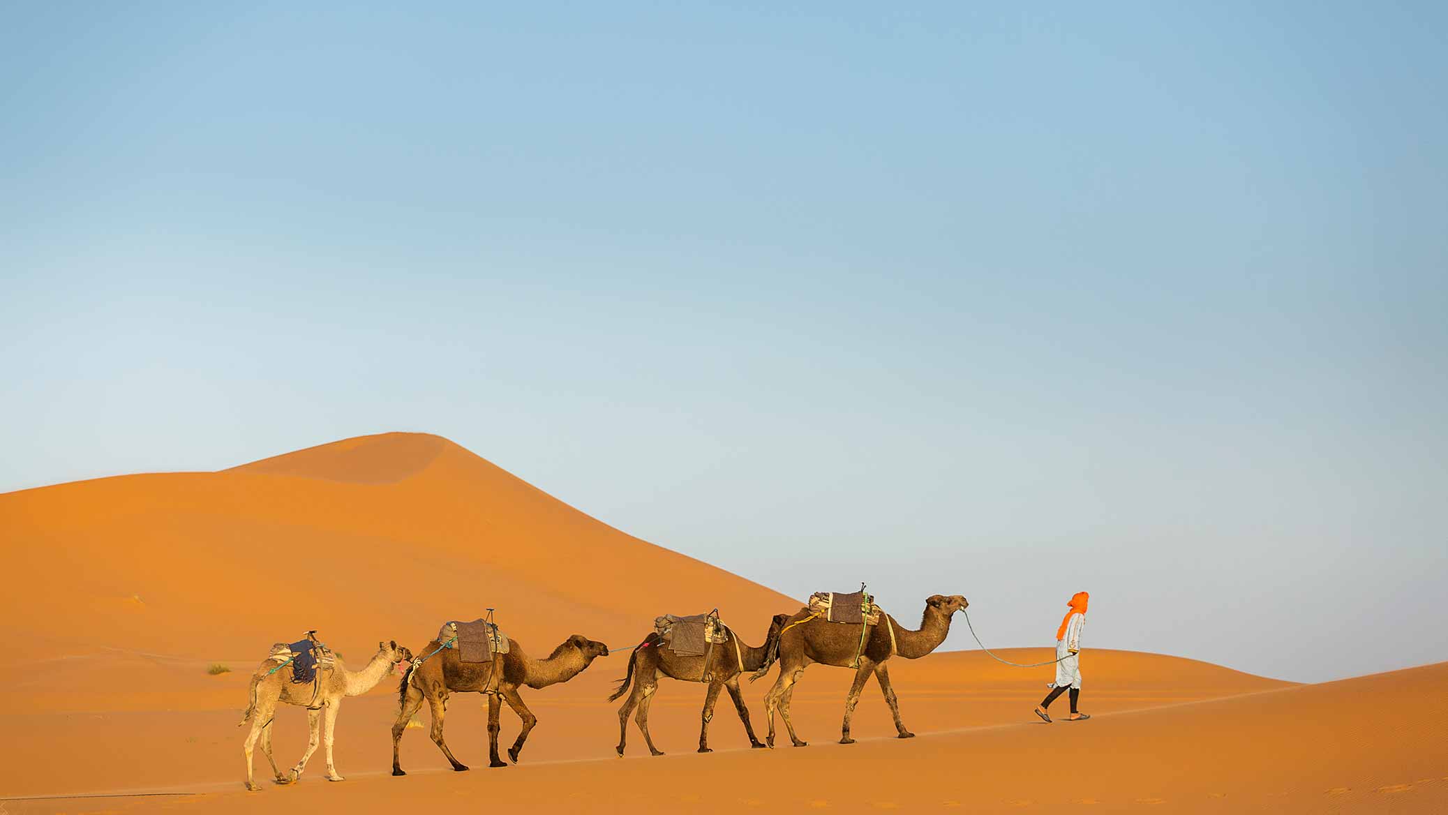 Morocco, Dessert, Sand, Camels