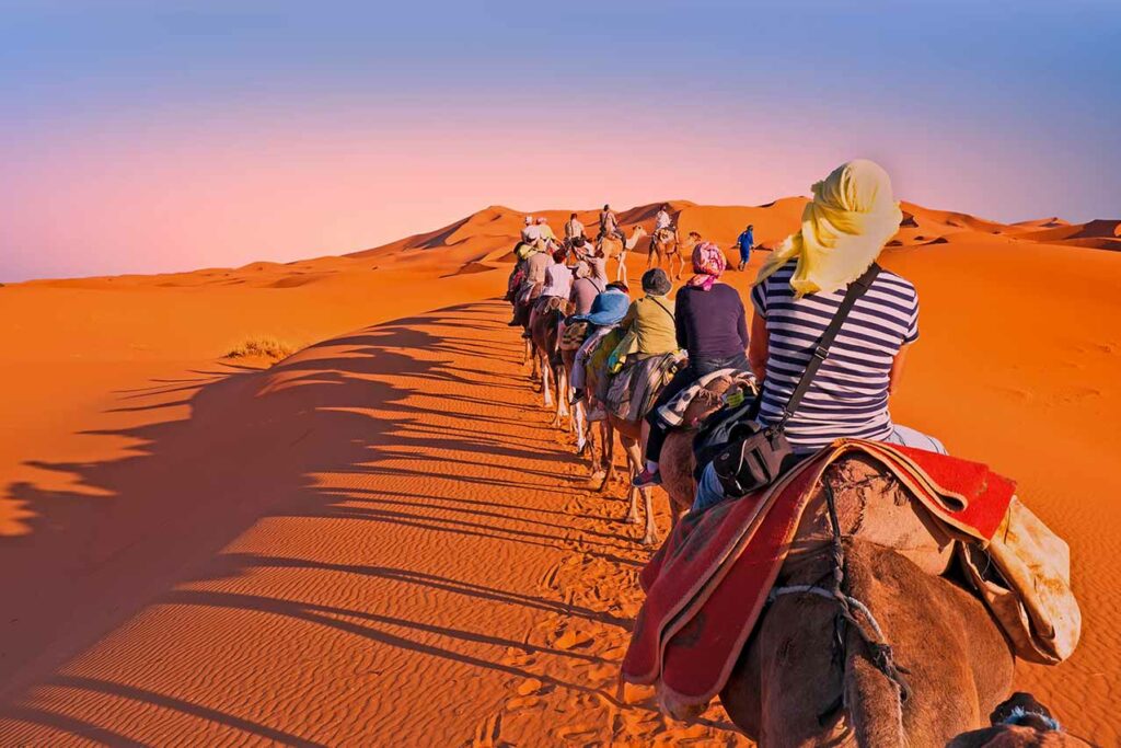 Camel tour group going through the sand dunes in the Sahara Desert, Morocco