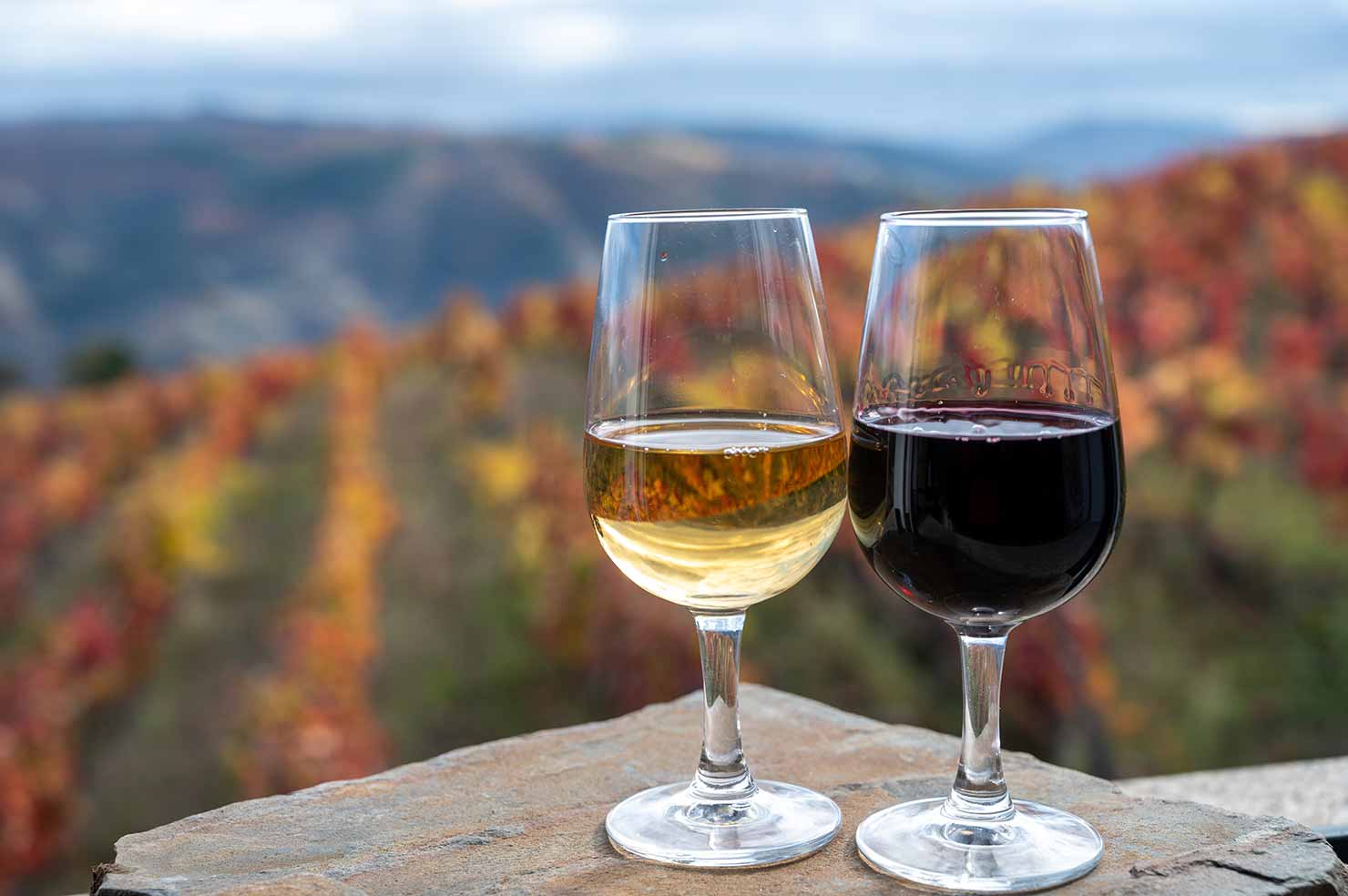 close up of two glasses of wine resting on a table overlooking the Douro Valley.