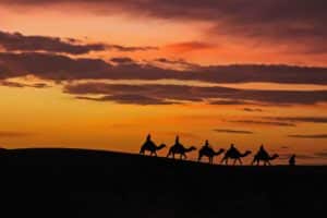 Morocco Merzouga Erg Chebbi sand dunes camel tour at sunset.