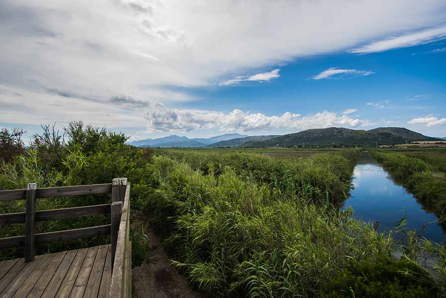 Albufera Natural Park, Spain