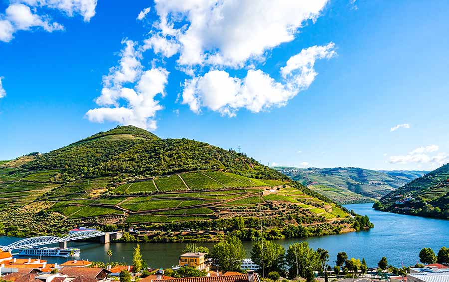 Douro Vineyards, Pinhao, Portugal