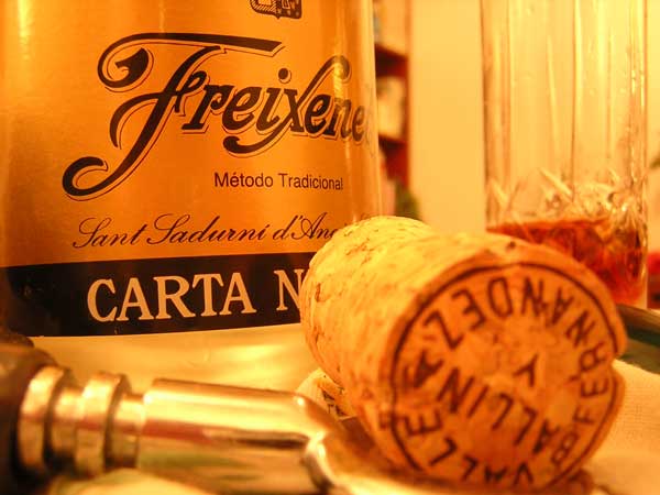 Freixenet Cellars guided tour Spain