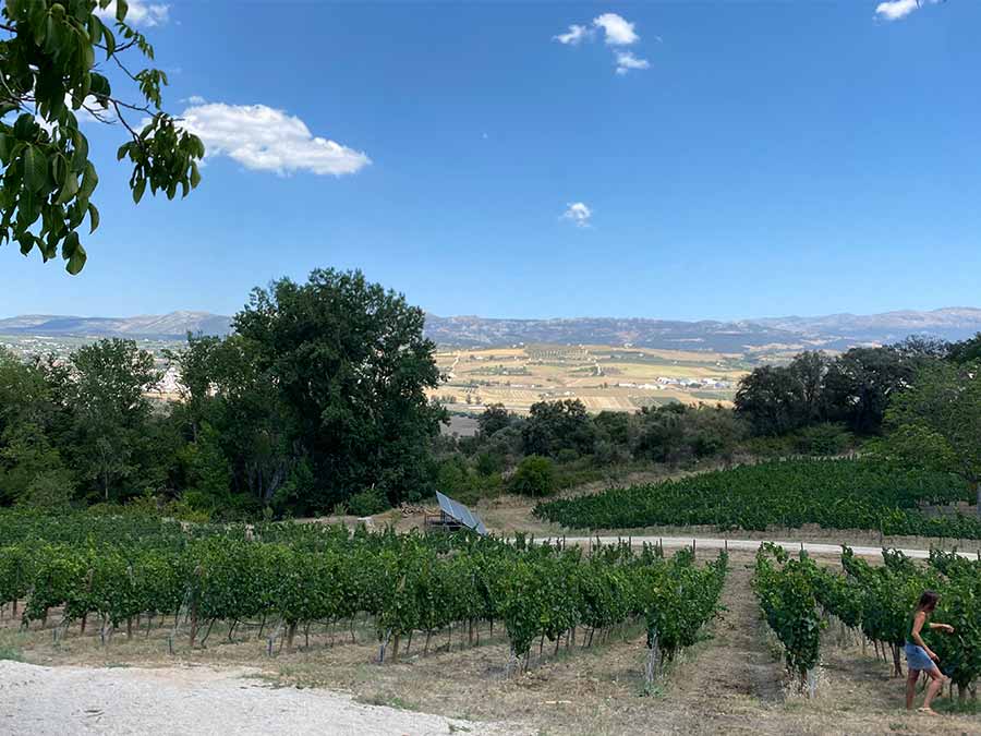 Winery in the hills of Ronda, Spain