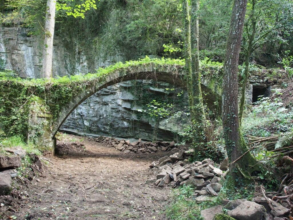 bridge reclaimed by nature on Garrotxa tour