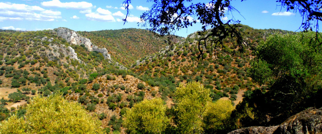 Sierra Morena, Cordobesa, Spain