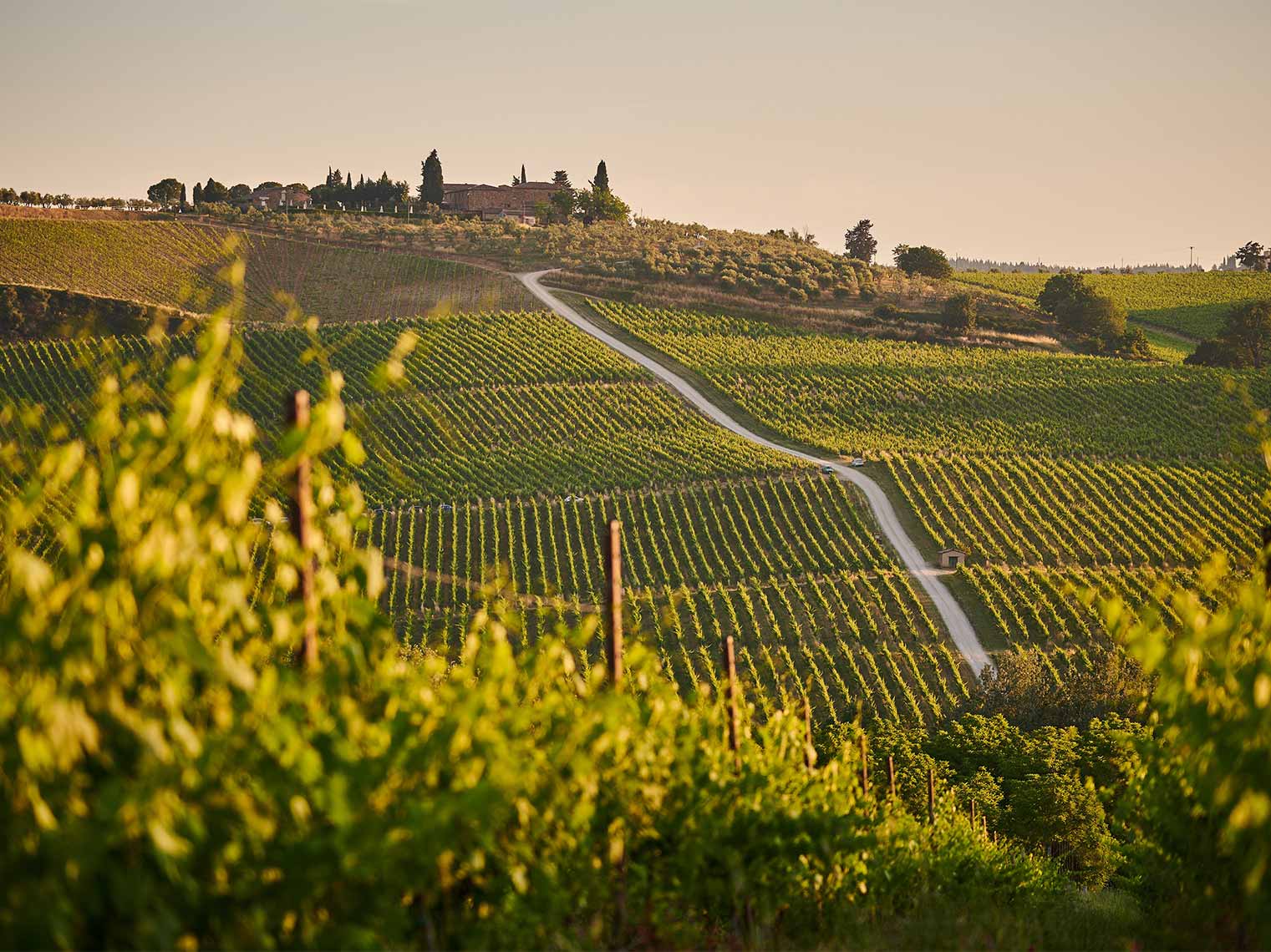 Chianti Tour, Italy